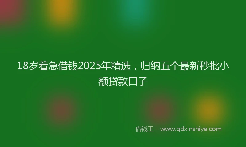 18岁着急借钱2025年精选，归纳五个最新秒批小额贷款口子