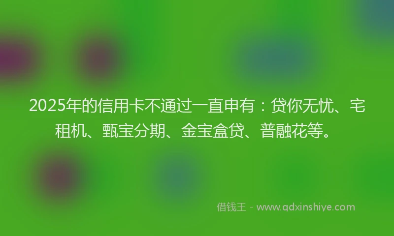 2025年的信用卡不通过一直申有：贷你无忧、宅租机、甄宝分期、金宝盒贷、普融花等。