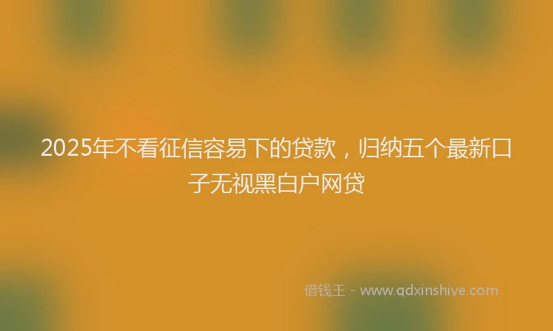 2025年不看征信容易下的贷款，归纳五个最新口子无视黑白户网贷