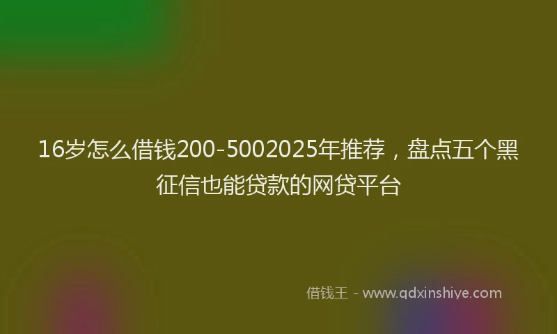 16岁怎么借钱200-5002025年推荐，盘点五个黑征信也能贷款的网贷平台