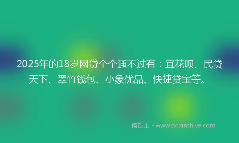 2025年的18岁网贷个个通不过有：宜花呗、民贷天下、翠竹钱包、小象优品、快捷贷宝等。
