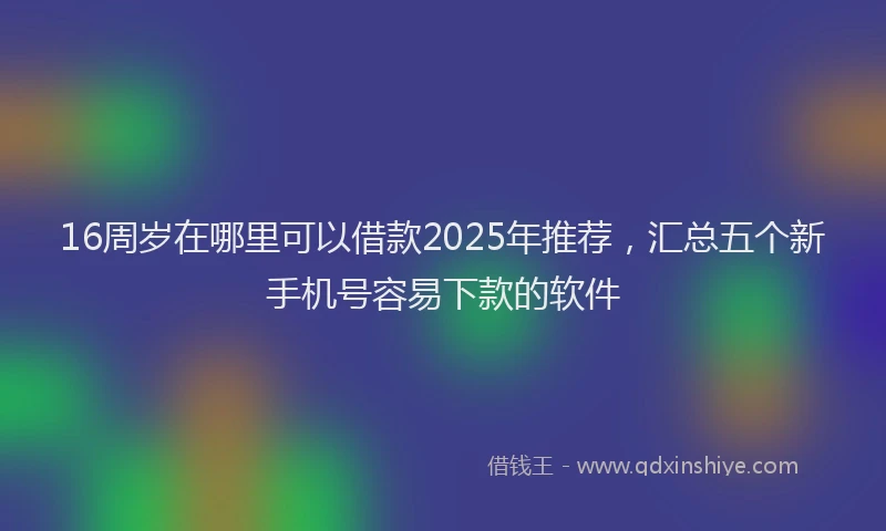 16周岁在哪里可以借款2025年推荐，汇总五个新手机号容易下款的软件