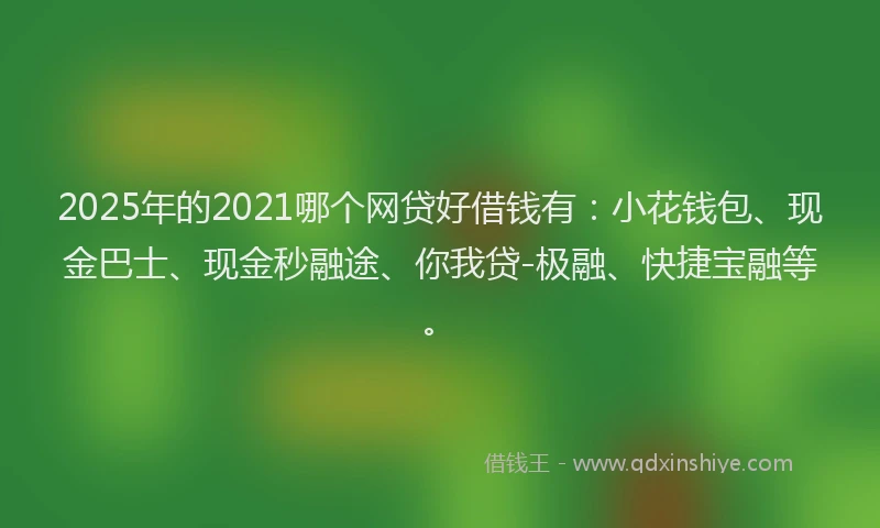 2025年的2021哪个网贷好借钱有：小花钱包、现金巴士、现金秒融途、你我贷-极融、快捷宝融等。