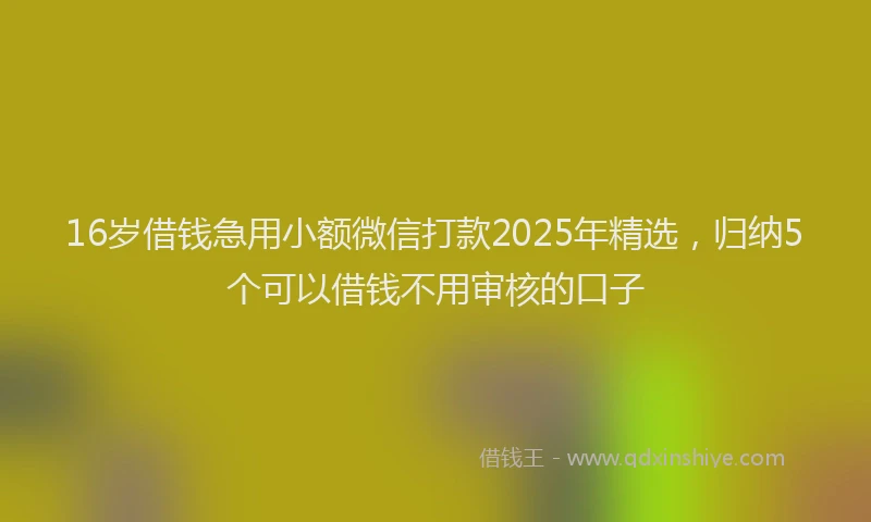 16岁借钱急用小额微信打款2025年精选，归纳5个可以借钱不用审核的口子
