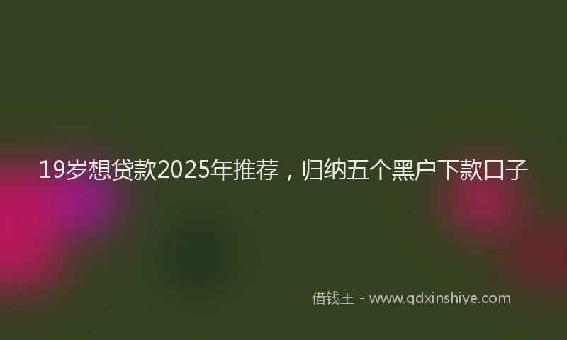 19岁想贷款2025年推荐，归纳五个黑户下款口子