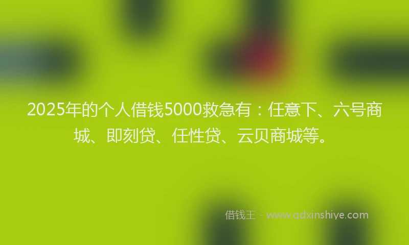 2025年的个人借钱5000救急有：任意下、六号商城、即刻贷、任性贷、云贝商城等。