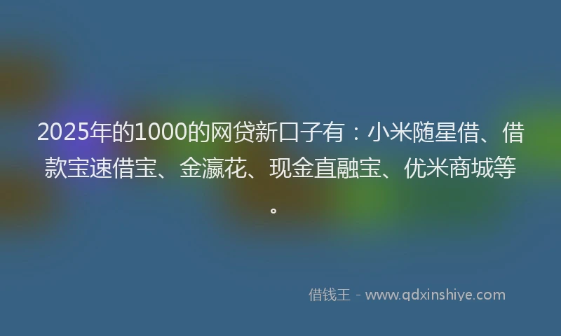 2025年的1000的网贷新口子有：小米随星借、借款宝速借宝、金瀛花、现金直融宝、优米商城等。