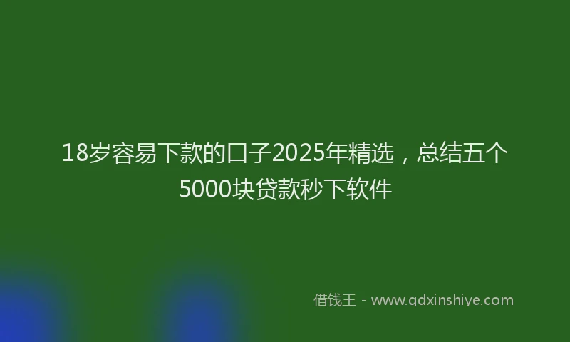 18岁容易下款的口子2025年精选，总结五个5000块贷款秒下软件