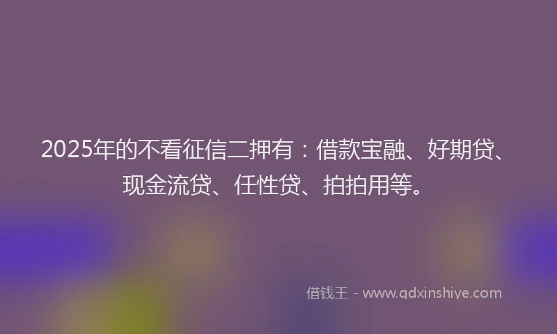 2025年的不看征信二押有：借款宝融、好期贷、现金流贷、任性贷、拍拍用等。