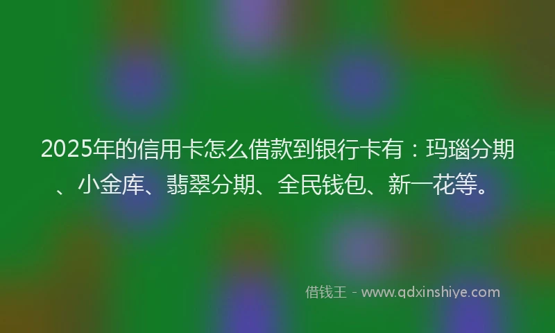 2025年的信用卡怎么借款到银行卡有：玛瑙分期、小金库、翡翠分期、全民钱包、新一花等。