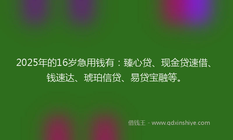 2025年的16岁急用钱有：臻心贷、现金贷速借、钱速达、琥珀信贷、易贷宝融等。