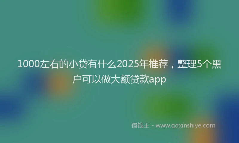 1000左右的小贷有什么2025年推荐，整理5个黑户可以做大额贷款app