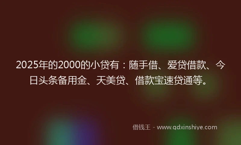 2025年的2000的小贷有：随手借、爱贷借款、今日头条备用金、天美贷、借款宝速贷通等。