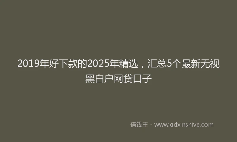 2019年好下款的2025年精选，汇总5个最新无视黑白户网贷口子