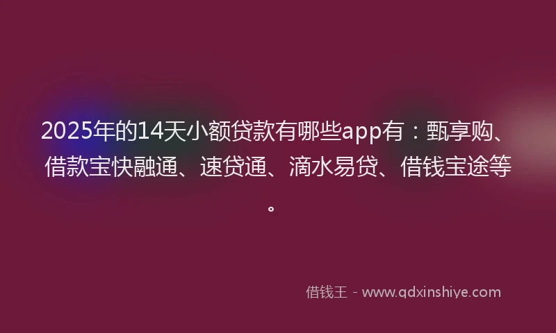 2025年的14天小额贷款有哪些app有：甄享购、借款宝快融通、速贷通、滴水易贷、借钱宝途等。