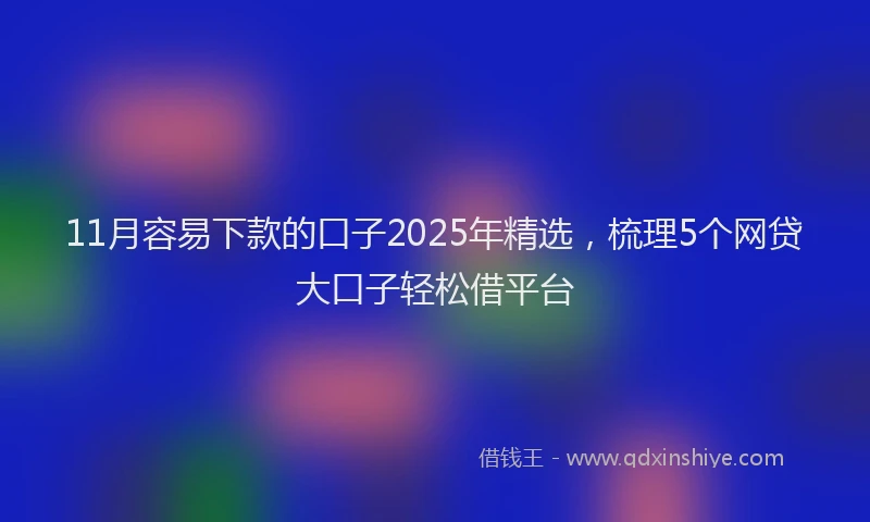 11月容易下款的口子2025年精选，梳理5个网贷大口子轻松借平台