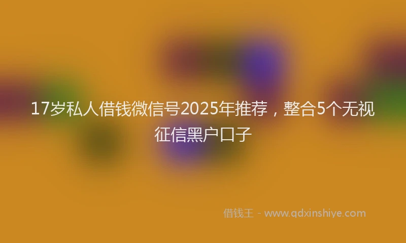 17岁私人借钱微信号2025年推荐，整合5个无视征信黑户口子