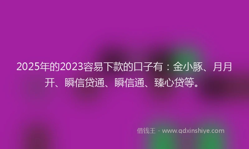 2025年的2023容易下款的口子有：金小豚、月月开、瞬信贷通、瞬信通、臻心贷等。