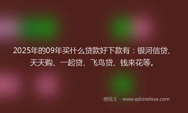 2025年的09年买什么贷款好下款有：银河信贷、天天购、一起贷、飞鸟贷、钱来花等。