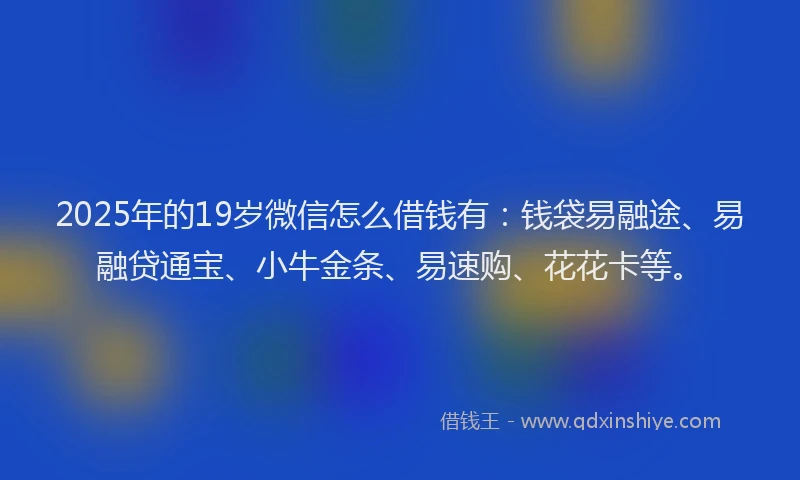 2025年的19岁微信怎么借钱有：钱袋易融途、易融贷通宝、小牛金条、易速购、花花卡等。
