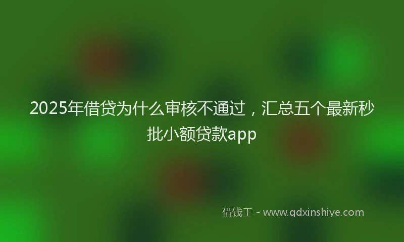 2025年借贷为什么审核不通过，汇总五个最新秒批小额贷款app