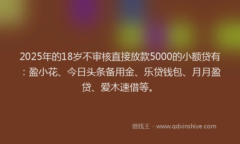 2025年的18岁不审核直接放款5000的小额贷有：盈小花、今日头条备用金、乐贷钱包、月月盈贷、爱木速借等。