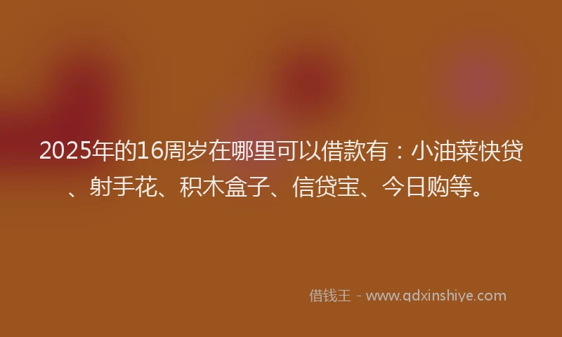 2025年的16周岁在哪里可以借款有：小油菜快贷、射手花、积木盒子、信贷宝、今日购等。