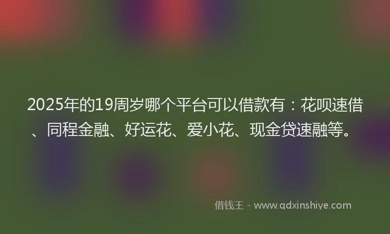2025年的19周岁哪个平台可以借款有：花呗速借、同程金融、好运花、爱小花、现金贷速融等。