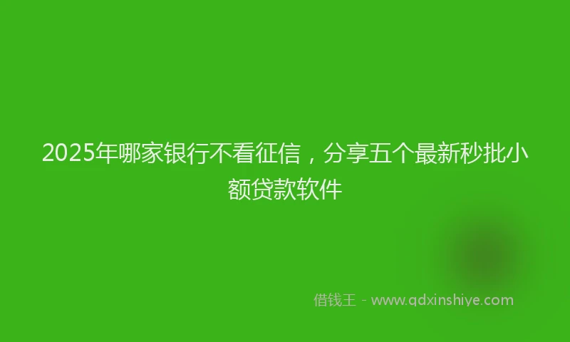 2025年哪家银行不看征信，分享五个最新秒批小额贷款软件