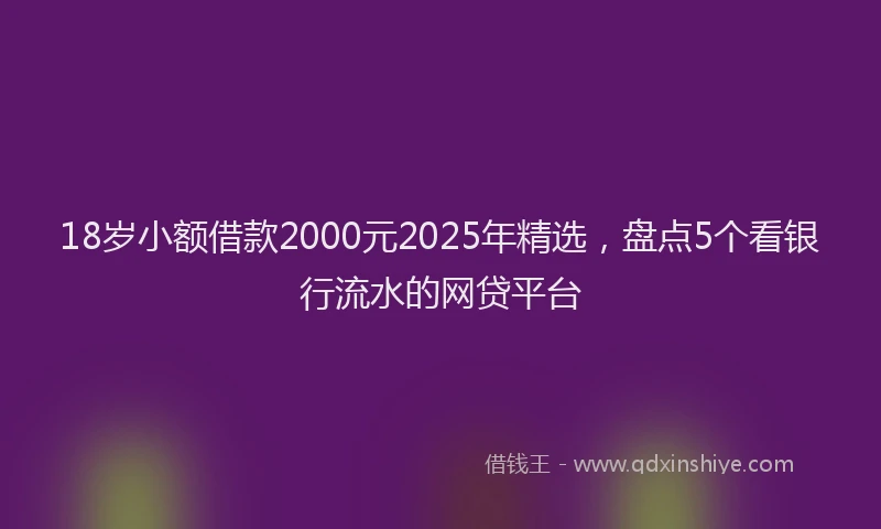 18岁小额借款2000元2025年精选，盘点5个看银行流水的网贷平台