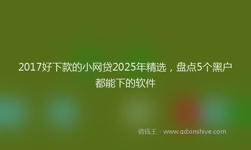 2017好下款的小网贷2025年精选，盘点5个黑户都能下的软件