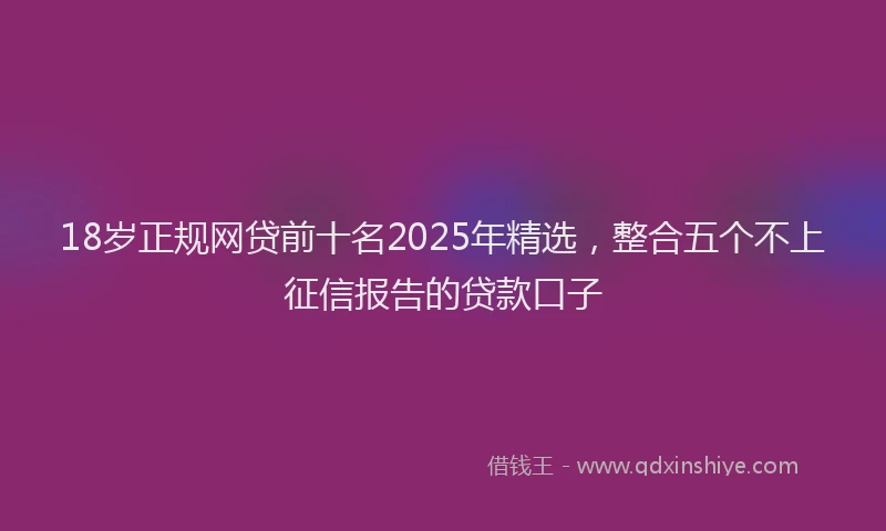 18岁正规网贷前十名2025年精选，整合五个不上征信报告的贷款口子