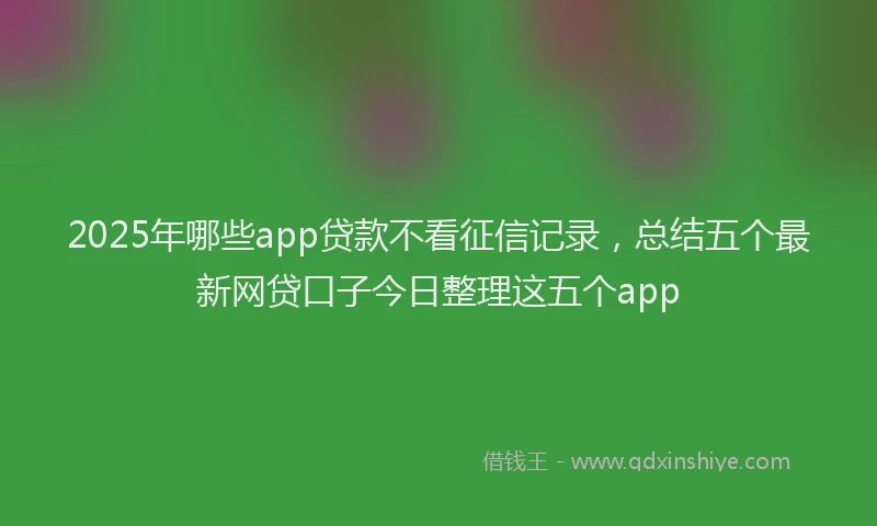 2025年哪些app贷款不看征信记录，总结五个最新网贷口子今日整理这五个app