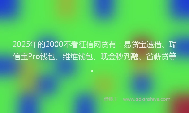 2025年的2000不看征信网贷有：易贷宝速借、瑞信宝Pro钱包、维维钱包、现金秒到融、省薪贷等。