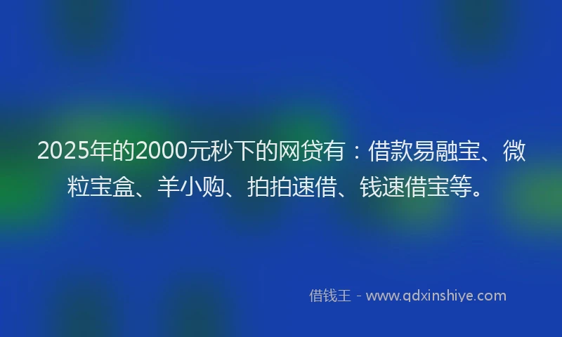 2025年的2000元秒下的网贷有：借款易融宝、微粒宝盒、羊小购、拍拍速借、钱速借宝等。
