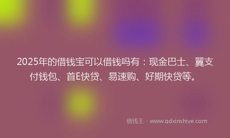 2025年的借钱宝可以借钱吗有：现金巴士、翼支付钱包、首E快贷、易速购、好期快贷等。
