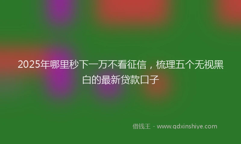 2025年哪里秒下一万不看征信，梳理五个无视黑白的最新贷款口子