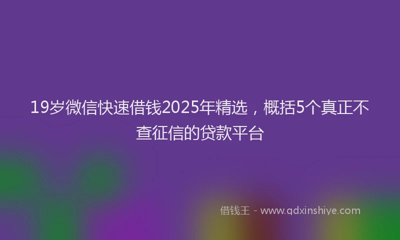 19岁微信快速借钱2025年精选，概括5个真正不查征信的贷款平台