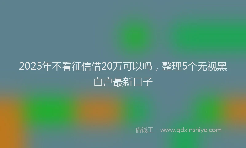 2025年不看征信借20万可以吗，整理5个无视黑白户最新口子