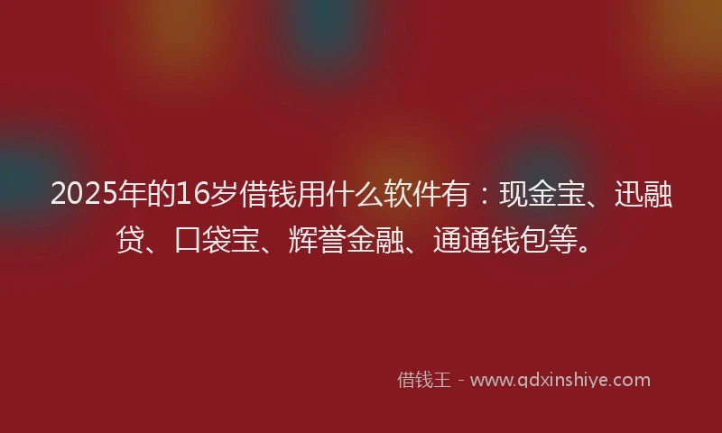 2025年的16岁借钱用什么软件有：现金宝、迅融贷、口袋宝、辉誉金融、通通钱包等。