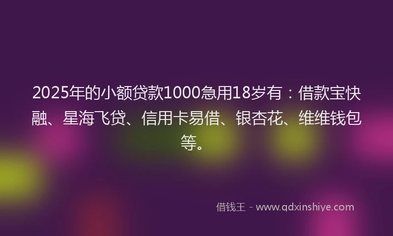2025年的小额贷款1000急用18岁有：借款宝快融、星海飞贷、信用卡易借、银杏花、维维钱包等。