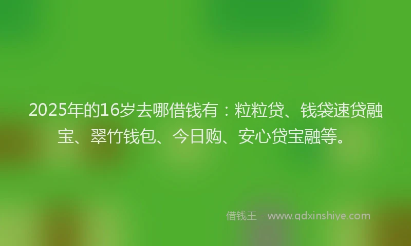 2025年的16岁去哪借钱有：粒粒贷、钱袋速贷融宝、翠竹钱包、今日购、安心贷宝融等。