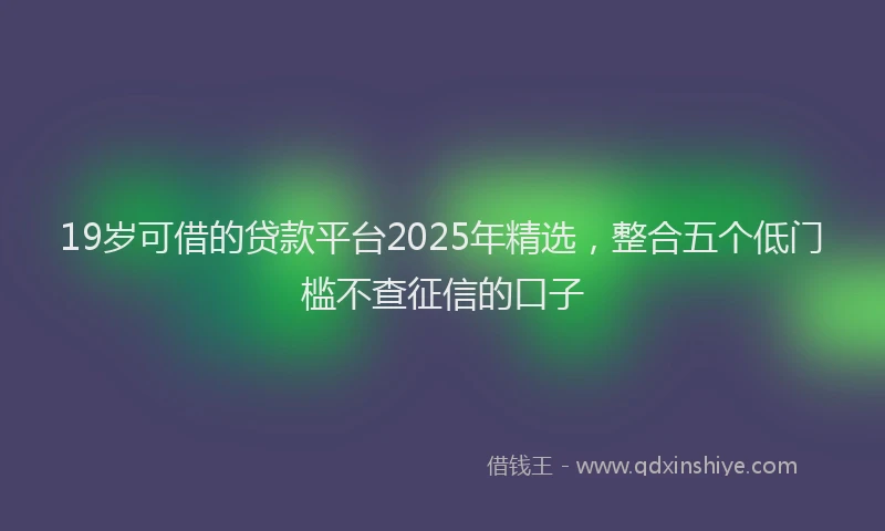 19岁可借的贷款平台2025年精选，整合五个低门槛不查征信的口子