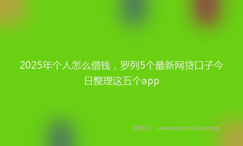 2025年个人怎么借钱，罗列5个最新网贷口子今日整理这五个app