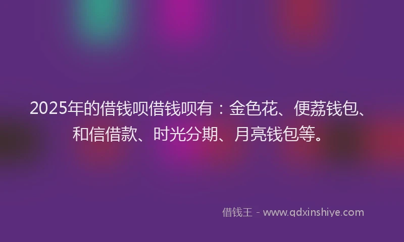 2025年的借钱呗借钱呗有：金色花、便荔钱包、和信借款、时光分期、月亮钱包等。