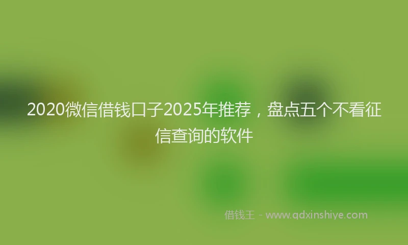 2020微信借钱口子2025年推荐，盘点五个不看征信查询的软件