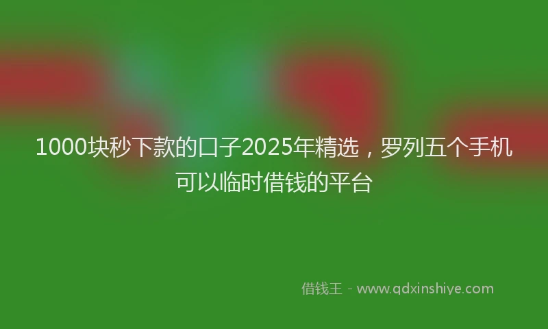 1000块秒下款的口子2025年精选，罗列五个手机可以临时借钱的平台