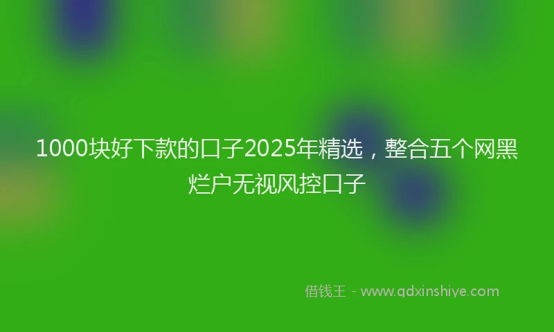 1000块好下款的口子2025年精选，整合五个网黑烂户无视风控口子