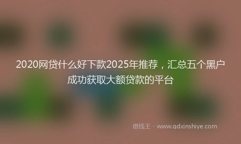 2020网贷什么好下款2025年推荐，汇总五个黑户成功获取大额贷款的平台