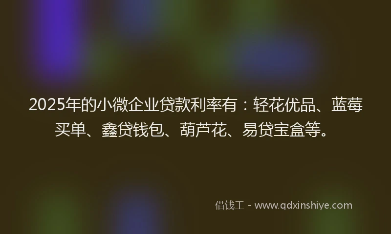 2025年的小微企业贷款利率有：轻花优品、蓝莓买单、鑫贷钱包、葫芦花、易贷宝盒等。